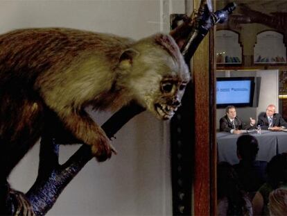 El Museo de Zoología fue el escenario de la firma del acuerdo entre el alcalde Jordi Hereu y el consejero Joan Manel Tresserras.