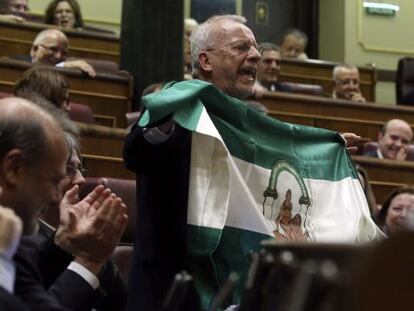 El diputado socialista Manuel Pezzi muestra una bandera andaluza durante la intervención de Rajoy.