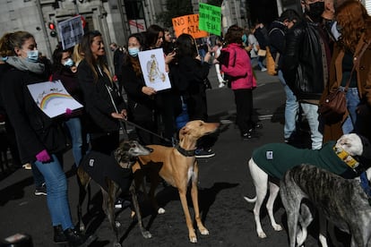 Varias personas, con pancartas contra el maltrato animal marchan durante una manifestación contra la caza.