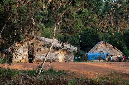 Lideradas pelo cacique Turu, quatro famílias Arara deixaram, em fevereiro de 2018, a aldeia Laranjal, a maior das cinco instaladas no interior da floresta, para se estabelecerem na recém criada aldeia Arado.