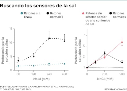 Buscando los sensores de la sal