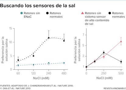 Buscando los sensores de la sal