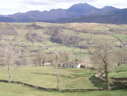 La web incluye artículos relacionados con cada uno de los espacios y sus distintos valores: agrícolas, industriales, históricos... El cabañal pasiego (Cantabria) se corresponde con el territorio que configuran cuatro valles.