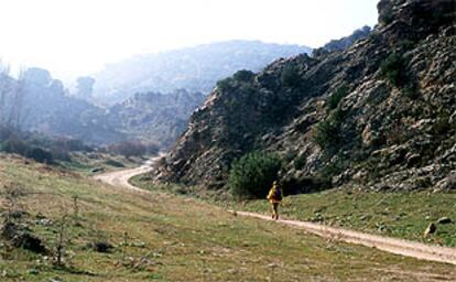 Sendero del valle del Henares.