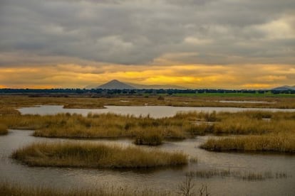 Panorámica del parque nacional de las Tablas de Daimiel, en Ciudad Real.