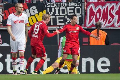 Javier &quot;Chicharito&quot; Hern&aacute;ndez festeja su gol 16 en Bundesliga ante el Koln.