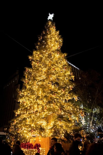 El gigantesco abeto de 18 metros, decorado con más de 800 bolas e iluminado por 27.000 puntos de luz, brilla en la Plaza de España, en la confluencia con Gran Vía. Este Abies Nordmanniana —especie originaria de Georgia, en el Cáucaso— llegó a Madrid desde la provincia de Girona.