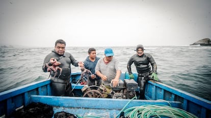 Dos pescadores y sus tripulantes muestran los pulpos capturados al volver de unas de las islas.