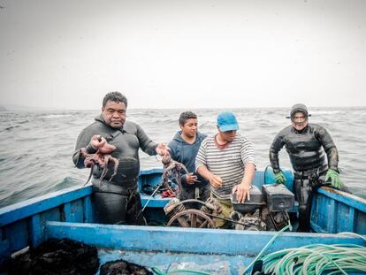 Dos pescadores y sus tripulantes muestran los pulpos capturados al volver de unas de las islas.