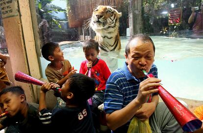 Un grupo de filipinos junto a uno de los tigres del Zoo de Manila celebran la llegada de 2010, año del Tigre para el horóscopo chino.