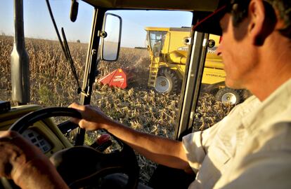Un agricultor cosecha maíz en la localidad de Inés Indart (Argentina).