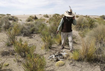 Las sequías en el continente dejan cada año pérdidas millonarias.