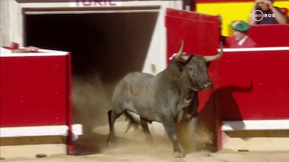 Cartelero, primer toro de la tarde, en su salida al ruedo pamplonés.