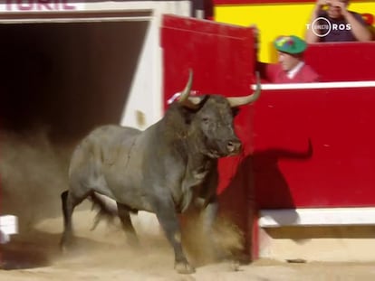 Cartelero, primer toro de la tarde, en su salida al ruedo pamplonés.