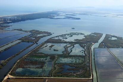 Parque Natural de la Albufera de Valencia.