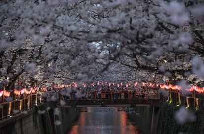 Visitantes cruzan un puente sobre el río Meguro en Nakameguro, en Tokio (Japón), el 26 de marzo de 2018.