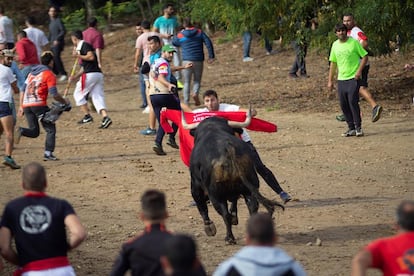 Celebracion Toro de la Vega