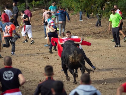 Participantes en el festejo del Toro de la Vega que la villa de Tordesillas (Valladolid) en 2019.