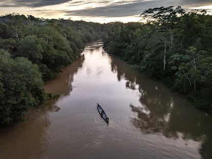 La minería ilegal avanza en la Amazonia y acorrala a los guardaparques en Ecuador