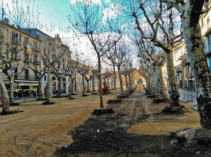 La reforma del Firal d’Olot s’ha endut alguns arbres per deixar veure edificis.