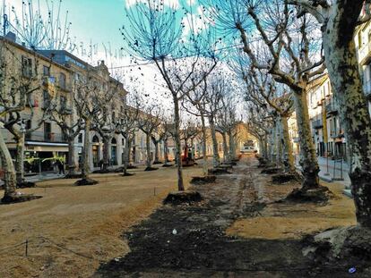 La reforma del Firal d&rsquo;Olot s&rsquo;ha endut alguns arbres per deixar veure edificis.