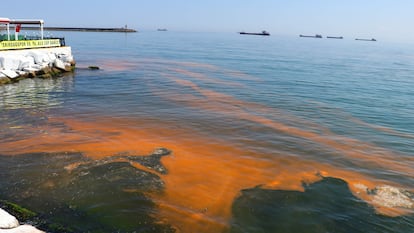 Contaminación del agua