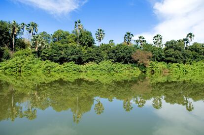 El Parque Nacional Niokolo Koba es Patrimonio de la Humanidad por la Unesco.