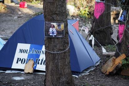 Acampada de protesta en la isla de O Toleiro (Sarria) para proteger los alisos condenados a la tala por las obras de la Confederaci&oacute;n Hidrogr&aacute;fica.