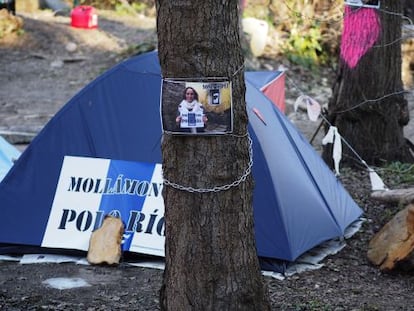 Acampada de protesta en la isla de O Toleiro (Sarria) para proteger los alisos condenados a la tala por las obras de la Confederaci&oacute;n Hidrogr&aacute;fica.