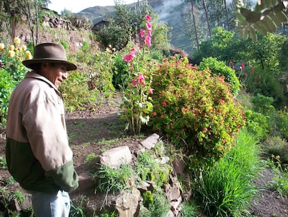 Huerto ecológico en Paras, Perú.