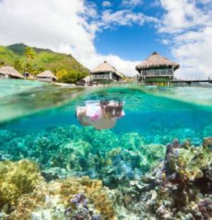 Snorkel entre corales en Islas Maldivas.