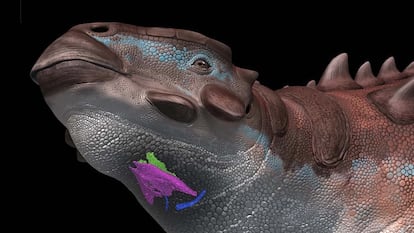 Dinosaurios