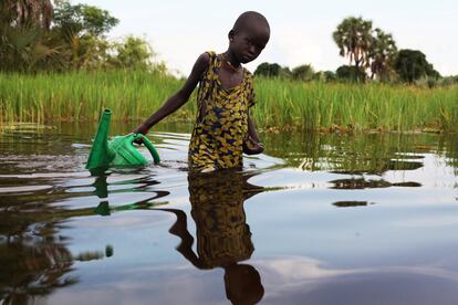 Una chica recoge agua con una regadera de plástico en el pantano Sudd, cerca de Nyal (Sudán del Sur).