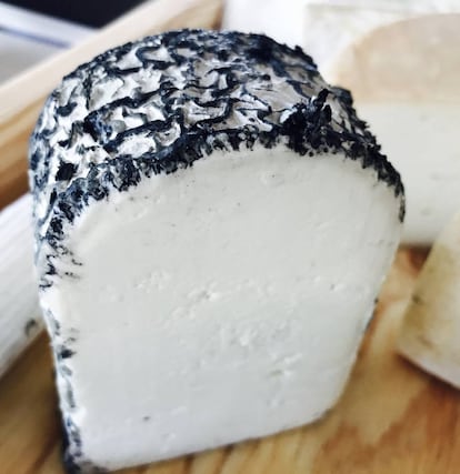 Leche cruda de cabra de raza Florida. Ceniza de carbón vegetal QUESERÍA EL BUCARITO