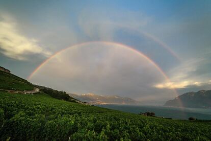 Un arco iris sobre los viñedos de Lavaux, a orillas del lago Lemán, al oeste de Suiza.