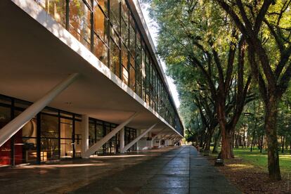 Área externa do museu, no Parque do Ibirapuera.