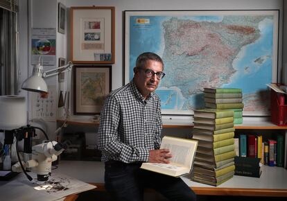 The researcher Carlos Aedo inside his office at Madrid's Royal Botanical Garden.