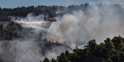 Un hidroavión vierte agua sobre una de las zonas afetadas.