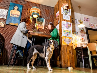 Casa Jaguar, en su establecimiento de la calle Caños del Peral, cerca de Callao, es uno de los restaurantes que permite la entrada a perros.