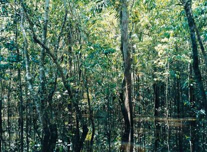 Caño Uña Pequeña-2, Venezuela. 2007. Axel Hütte.