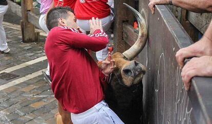 Toros de Pedraza de Yeltes han protagonizado el cuarto encierro de San Fermín 2016.