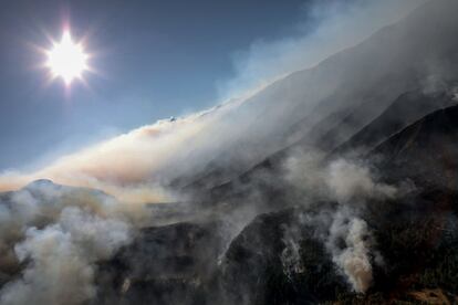 El territorio mexicano ha padecido 1.684 incendios forestales en lo que va del año que han afectado un total de 29.559 hectáreas, la tercera superficie más extensa en una década, reportó la Comisión Nacional Forestal (Conafor).