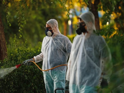 Labores de fumigación contra mosquitos en La Puebla del Río (Sevilla).