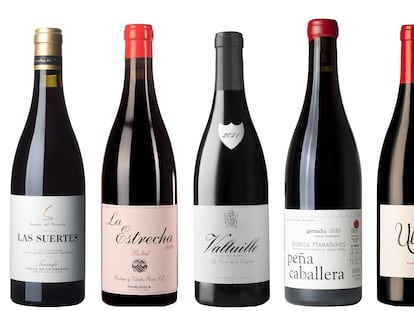 Seis vinos de parcela con la grandeza de lo pequeño