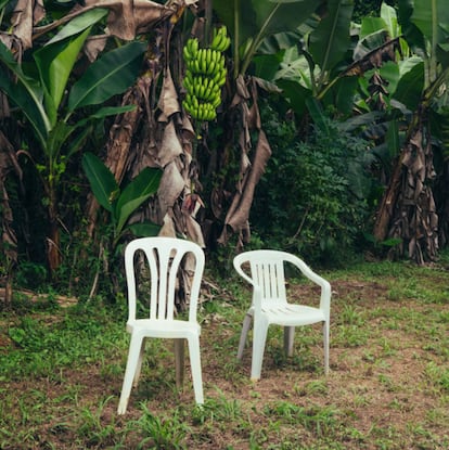 La portada del álbum 'DeBÍ TiRAR MáS FOToS' de Bad Bunny, estrenado este domingo.