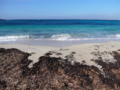 Una playa de Mallorca en una imagen de archivo.