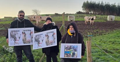 Tes manifestantes en la protesta de este mircoles.