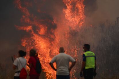 Volunteers battle the flames of the A Gudiña fire (Ourense) Thursday.