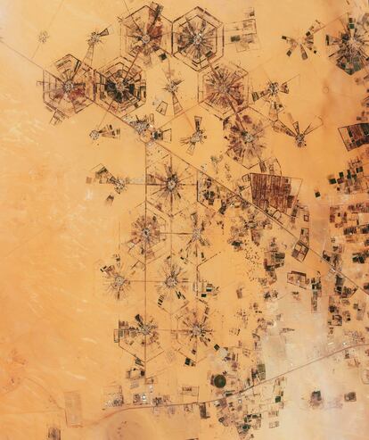 Cuenca de Kufra, en el Sáhara libio, uno de los oasis más regados del mundo, pero cuyos acuíferos están en la actualidad prácticamente secos.