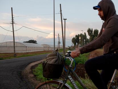 Un trabajador indio vuelve a casa tras su jornada laboral. La bicicleta es el medio de transporte más utilizado para desplazarse por el campo.